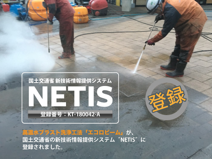 NETIS"New Technology Information System"